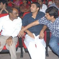 Jr NTR's Oosaravelli Audio Launch Gallery | Picture 77207